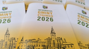 Obrazek domyslny serwisu strumien.pl